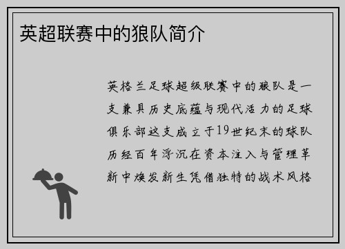 英超联赛中的狼队简介